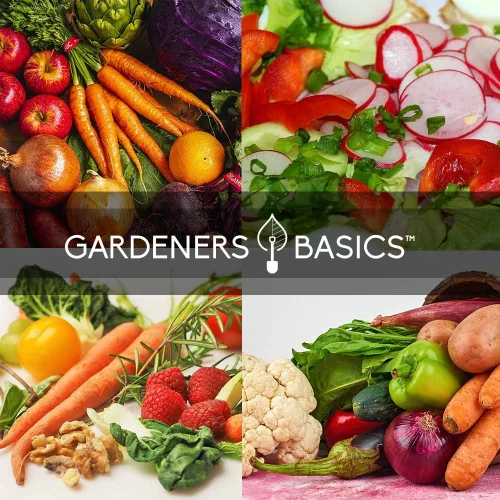 Vista 5 de Gardeners Basics Semillas de hortalizas de invierno, otoño y primavera para plantar Cultivos de clima fresco 8 variedades: guisantes de azúcar