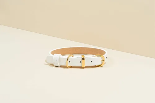 Vista 3 de SCAMPER & CO Collar de perro con hebilla chapada en oro amarillo de 18 quilates de bronce de 18 quilates con pirámide de microfibra, collar de perro