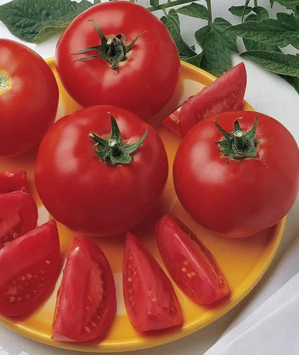Vista 13 de Burpee 'Better Boy' - Semillas de tomate híbridas, gran variedad de tomate rojo en rodajas, 30 semillas de vegetales sin OMG para plantar, tomate