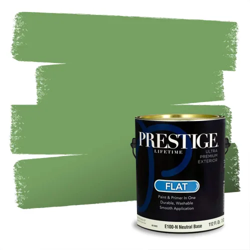 Vista 248 de Prestige Paints - Pintura exterior e imprimación en uno, 1 galón, plano, compatibilidad comparable con el color menta «Whipped Mint» de Behr