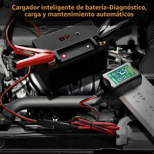 Vista 8 de Mantenedor de batería de 12V con carga lenta para motocicleta Harley Davidson y coche