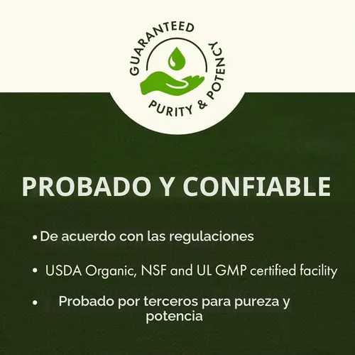 Vista 4 de Swanson Atención enfocada Alpinia Galanga, sin cafeína 300 mg, 30 cápsulas