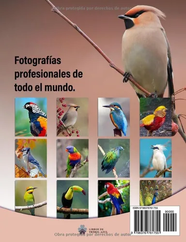 Vista 2 de Las 40 Aves más Hermosas del Mundo Un Libro de Fotografías a todo Color para Personas Mayores con Alzheimer o Demencia