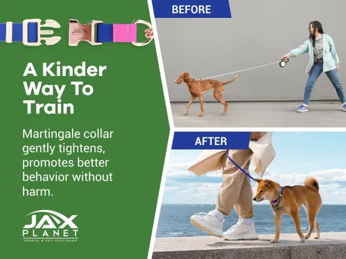 Vista 8 de Jelly - Collar para perro martingala impermeable, collar de nailon sin tirones con hebilla de metal de aleación y anillo en D para entrenamiento