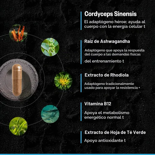 Vista 11 de ONNIT Shroom Tech Sport Cordyceps pre-entrenamiento sin cafeína, 28