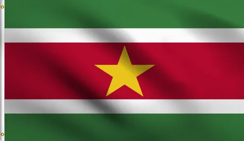 Vista 154 de DMSE - Bandera nacional beninesa beninesa de la República de África Occidental, 2 x 3 pies, 100 % poliéster, 100 % poliéster, resistente a los rayos