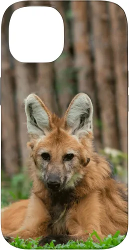 Vista 4 de Funda para iPhone 13 Pro Max Maned Wolf