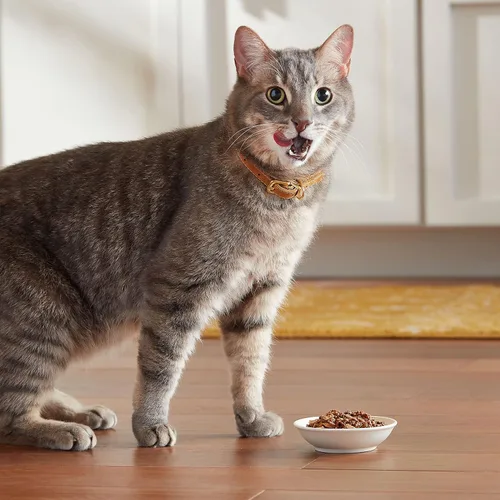 Vista 7 de Meow Mix Trozos en salsa, comida húmeda para gatos con pechuga de pollo real, 12 tazas