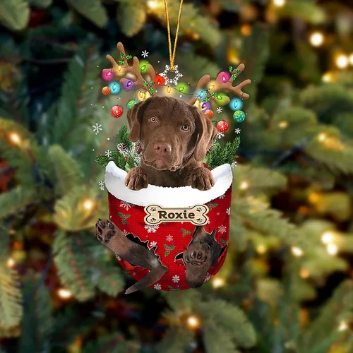 Vista 26 de LOVELYPOD Adorno Personalizado de Perro Affenpinscher, Adornos de Navidad Affenpinscher Regalo para Amante de Perros, Adorno de Navidad Colgante