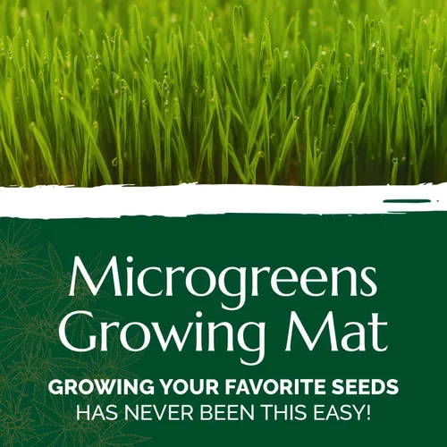 Vista 2 de Chanvra Grow Microgreens - Tapete de cultivo natural para kits de brotación de cultivo, almohadillas de cáñamo hidropónicas, tapete de cultivo