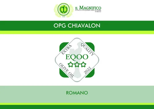 Vista 3 de Aceite de oliva virgen extra croata Chiavalon Romano Aceite de oliva con alto contenido de polifenoles