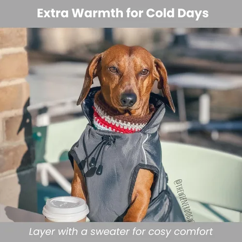 Vista 6 de Abrigo de invierno para perro, chaleco impermeable con aislamiento térmico, chaqueta de nieve, ajuste rápido, cálido y acogedor para clima frío