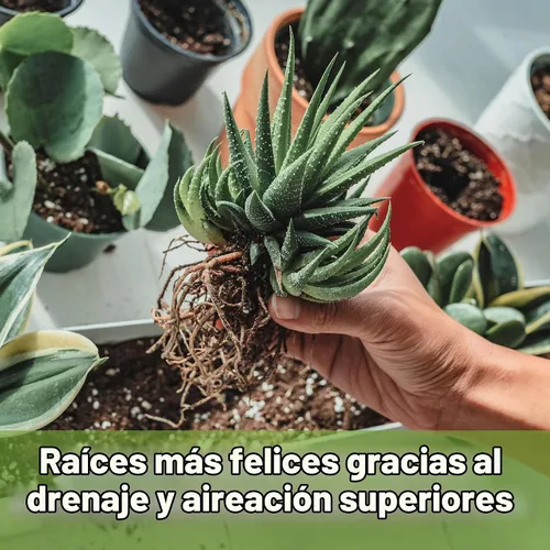 Vista 4 de Mezcla de tierra para suculentas y cactus de Perfect Plants (1QT)