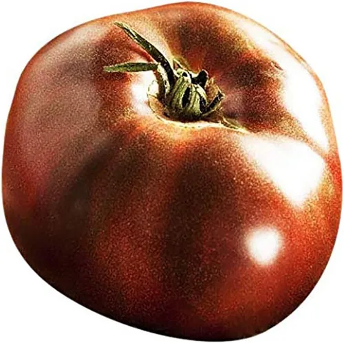 Vista 2 de Semillas de tomate negro Brandywine Heirloom Tomate grande, uno de los tomates más deliciosos para el cultivo casero