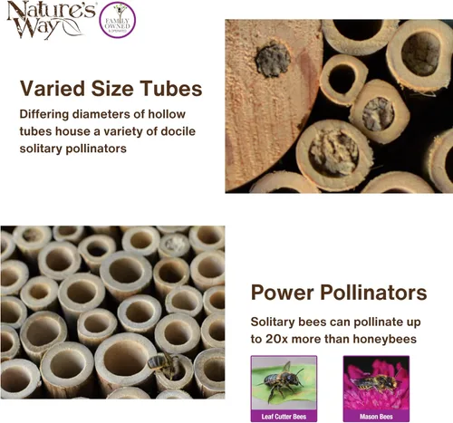 Vista 5 de Nature's Way Productos para Aves PWH1-B Casa de Abeja Púrpura