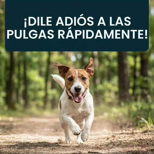Vista 8 de Capstar (Nitenpyram) Tratamiento oral de pulgas de acción rápida para perros de 2 a 25 libras, tabletas de medicamentos recomendadas por