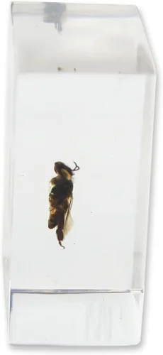 Vista 2 de REALBUG Pisapapeles de abeja de miel (1.8x1.1x0.8)