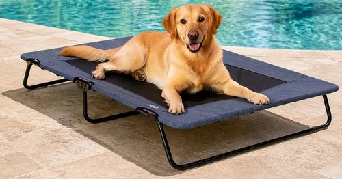 Vista 5 de Pet Gear Lifestyle - Cuna elevada para mascotas, 30 pulgadas, océano caribeño