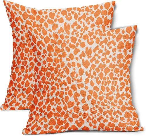 Vista 19 de Juego de 2 fundas de almohada de 16 x 16 pulgadas con estampado de leopardo, diseño de leopardo, con cremallera, decoración del hogar para sofá