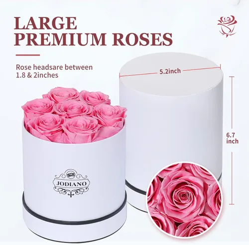 Vista 2 de Jodiano Flores preservadas en una caja rosas reales rosadas de larga duración regalo de cumpleaños para su aniversario día de la madre día de San