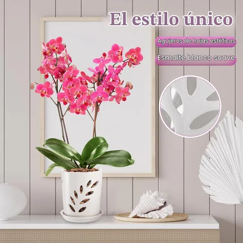 Vista 6 de Olla de orquídea de cerámica Aulock de 4 pulgadas con agujeros de drenaje