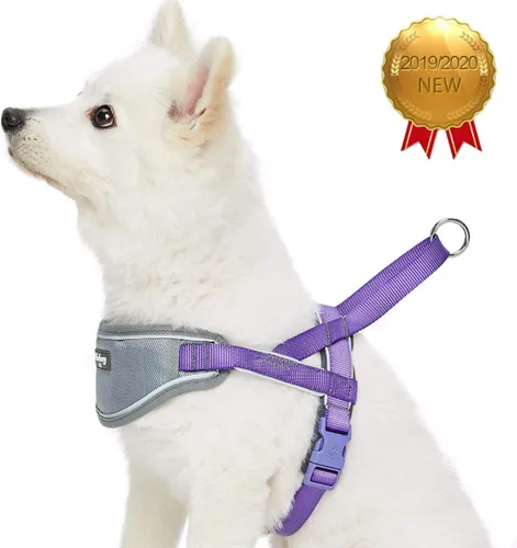 Vista 2 de Blueberry Pet Arnés morado para perro, tamaño mediano, arnés para perros pequeños, arnés para cachorros, chaleco de nailon reflectante, ajustable