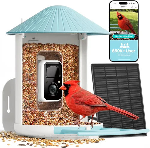 Vista 10 de NETVUE by Birdfy - Alimentador inteligente para pájaros con cámara AI 2K alimentado por energía solar, observación inalámbrica de aves silvestres