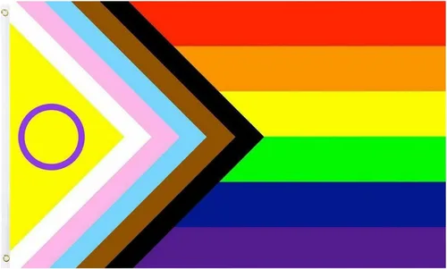 Vista 7 de TOPFLAGS Bandera del orgullo para exteriores, banderas de orgullo de progreso para exteriores, 10 x 15 pulgadas, grande, gay, bisexual, LGBTQ + arco