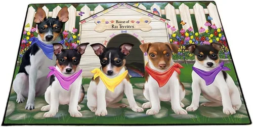 Vista 12 de Doggie of the Day Tapete Rat Terrier para perros, 4 de julio, Día de la Independencia, el mejor felpudo para perro, decoración protectora, arte