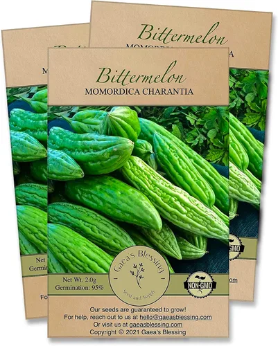 Vista 8 de Gaea's Blessing Semillas – Semillas de melón amargo – Semillas de calabaza amarga herencia de melón amargo sin OMG con instrucciones de siembra