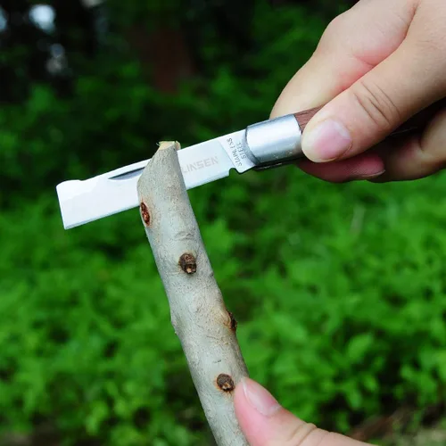 Vista 5 de Cuchillo de poda e injerto, herramienta de brotes de jardín de acero inoxidable, herramienta de corte múltiple de bolsillo plegable para deshierbar