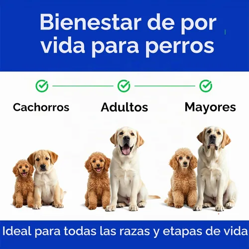 Vista 7 de Omega 3 + Aceite de pescado para perros - Apoyo para la piel y el pelaje