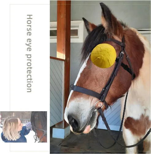 Vista 4 de Máscara de protección de ojos de caballo, protector de ojos de caballo, parche de ojo de caballo, anteojos de caballo para entrenamiento