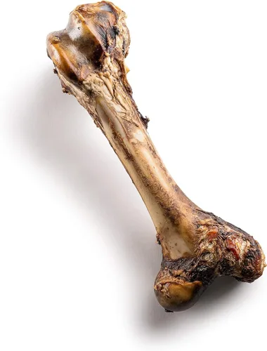 Vista 2 de Jack&Pup Mammoth - Huesos grandes para perros grandes, huesos de carne de fémur de 15 pulgadas para masticadores agresivos, hueso de perro gigante