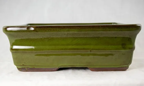Vista 3 de Maceta rectangular verde musgo bonsái, cactus, suculenta 10 x 8 x 3.25 bandeja de malla