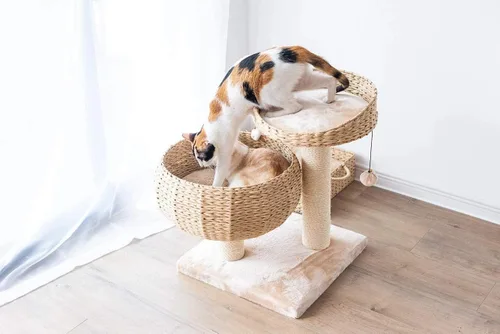 Vista 2 de PetPals tazón de cuerda de papel color natural con posadero para gato Beige Marrón