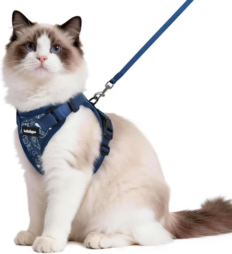 Vista 83 de rabbitgoo Cat Harness and Leash Set, Escape Proof Vest, Berry Pounce Soft Breathable Mesh, Easy Adjustable Fit, Snap Buckles, Sturdy Clip