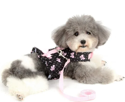 Vista 6 de SMALLLEE_LUCKY_STORE Vestido de arnés con lazo para perros pequeños, negro, XS Water-Resistant, Adjustable Fit, Padded, Escape-proof, Outdoor