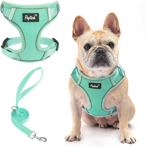 Vista 45 de PUPTECK Juego de arnés y correa para perro pequeño, arnés ajustable sin tirones para cachorro, chaleco de malla suave reflectante para mascotas