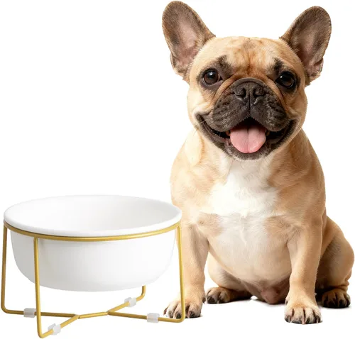 Vista 11 de Cuenco elevado de vidrio pequeño inclinado para gatos y perros, plato elevado para comida para gatos, plato de agua para mascotas, cuencos