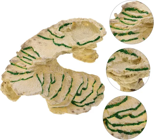 Vista 3 de Balacoo Plataforma de tortuga para caja de accesorios de hábitat de tortugas para interiores, plataforma de basking de tortuga, refugio de resina