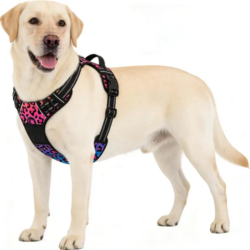 Vista 21 de Rnivvi Arnés para perro sin tirones, bonito arnés reflectante de tamaño extra pequeño, chaleco acolchado suave ajustable para perros pequeños