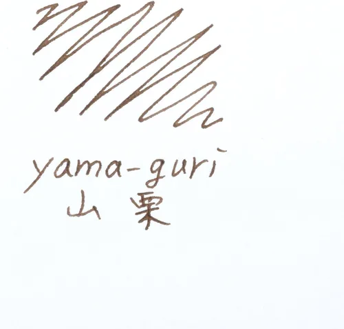 Vista 3 de Pilot Iroshizuku Tinta para pluma estilográfica – Botella de 50 ml – Yama-Guri Castaña Silvestre (Marrón Oscuro) (Importado de Japón)