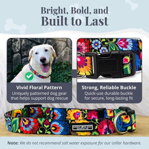 Vista 3 de Lucky Love Dog - Collar para perras pequeñas, diseño Blackbird de estampado alegre con flores de primavera y verano, talla XS Collar Blackbird