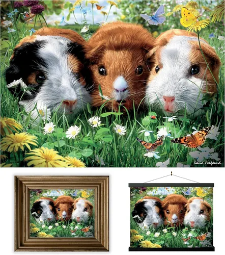 Vista 22 de 3D LiveLife Imágenes lenticulares - Animales de granja de bebés de Deluxebase. Arte de pared de animales de 12 x 16 pulgadas sin marco con efecto 3D