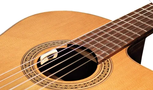 Vista 2 de L.R. Baggs ANTHEM-SL-C Pastilla de guitarra clásica