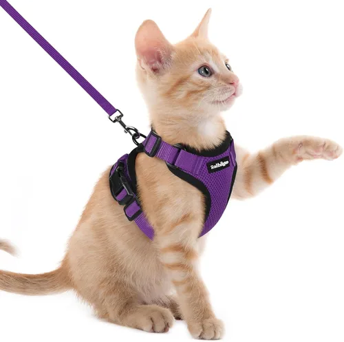 Vista 93 de rabbitgoo Cat Harness and Leash Set, Escape Proof Vest, XXS, Berry Pounce Soft Breathable Mesh, No-choke Adjustable Fit, Snap Buckles, Sturdy