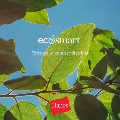 Vista 8 de Hanes - Sudadera con capucha EcoSmart para hombre
