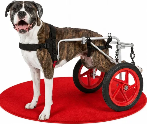 Vista 12 de Silla de ruedas para perro Best Friend Mobility tamaño extra pequeño