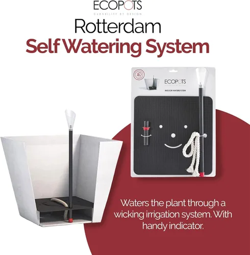 Vista 3 de Ecopots Rotterdam Square - Sistema de riego automático para plantas de interior Rotterdam de 15.75 pulgadas